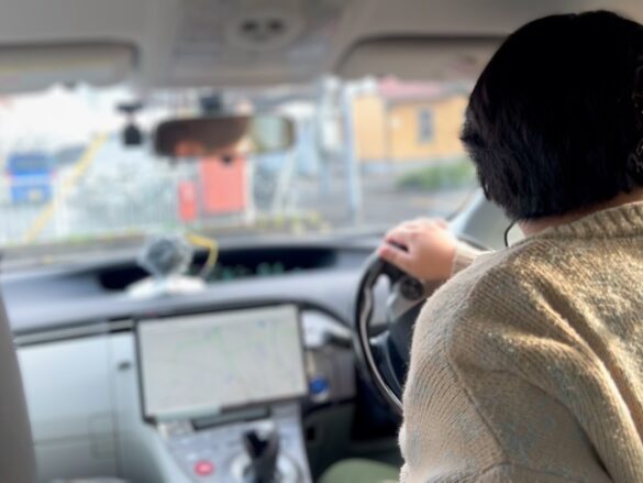 {{brizy_dc_image_alt entityId=