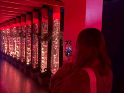 {{brizy_dc_image_alt entityId=