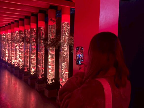 {{brizy_dc_image_alt entityId=